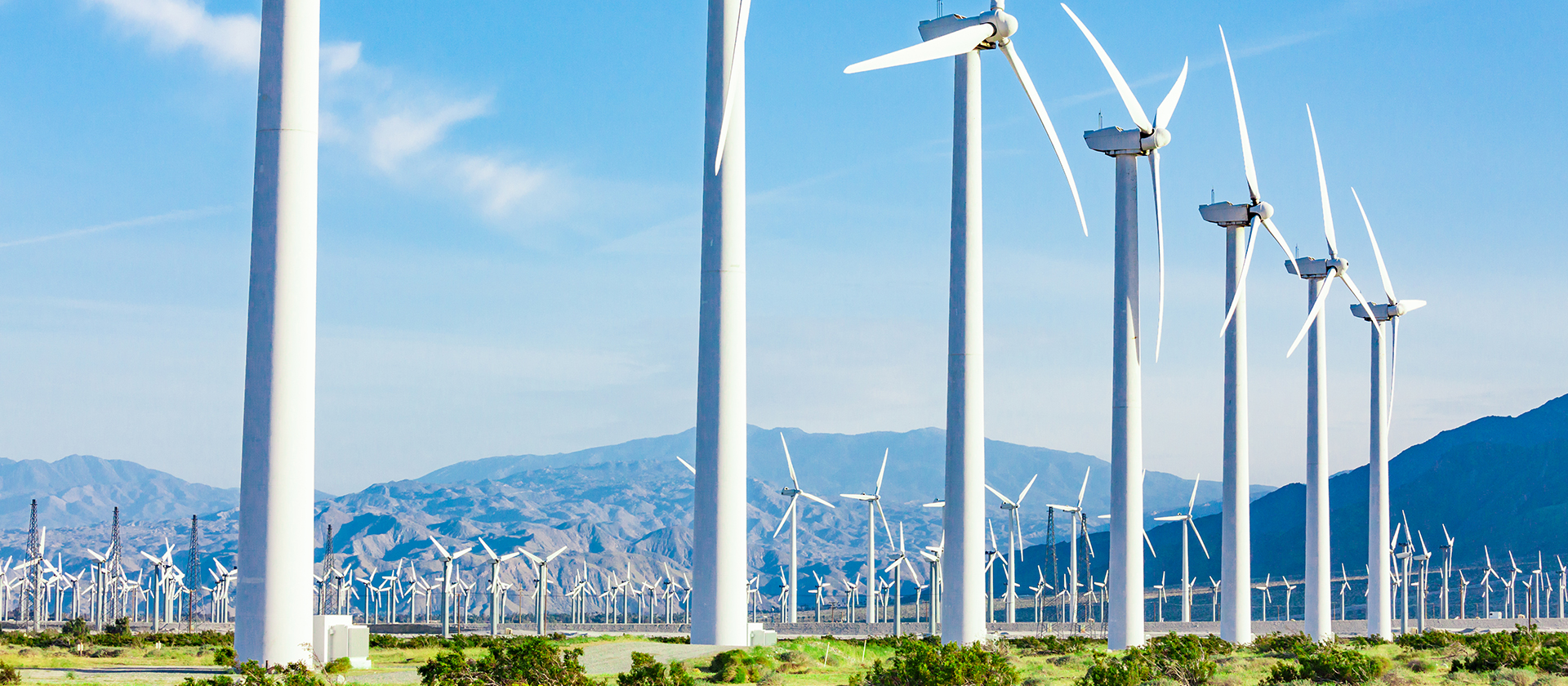 Energia eolica